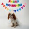 Colorful Happy Birthday Banner with 12pcs Pennant Banner Flags, Rainbow Happy Birthday Sign with Shiny Gold Letters, Party Decorations for Boys Girls, DIY Party Supplies (Multi-color)